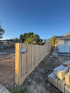 New paling fence on the same boundary